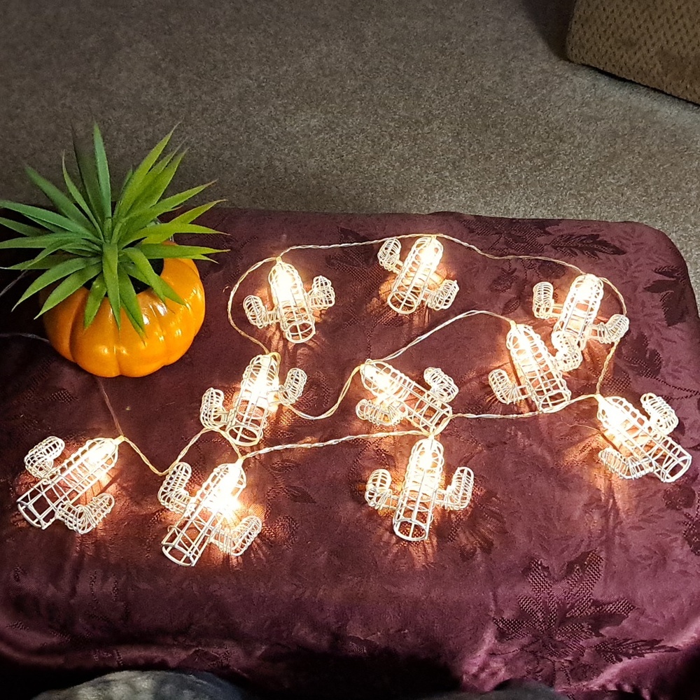 Cactus String of Lights & Faux Succulent